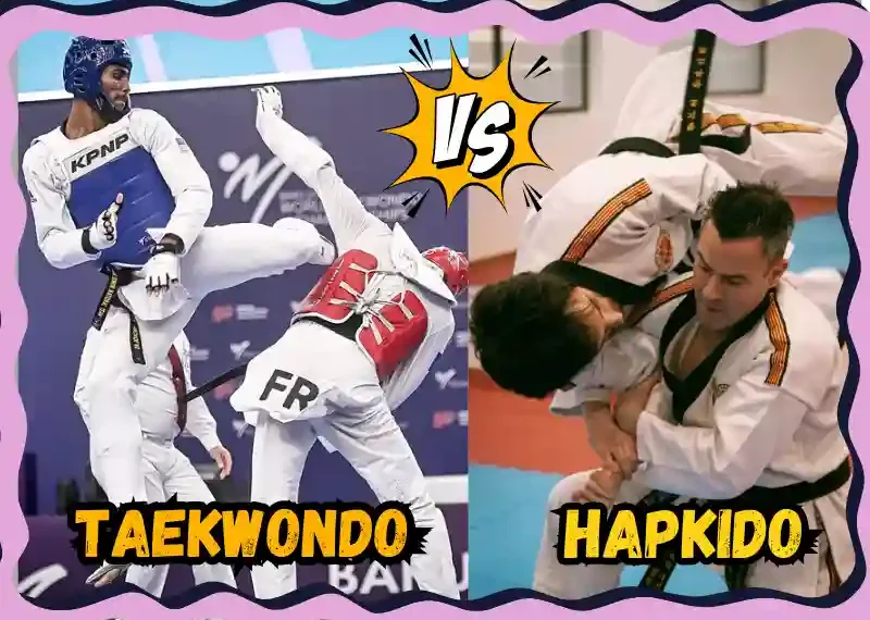 Hapkido vs Taekwondo Key Differences and Similarities Explained, taekwondoking