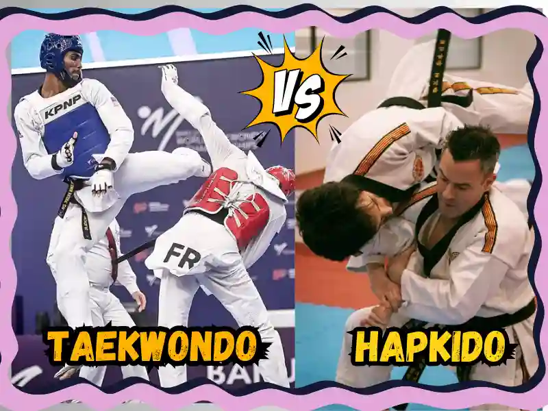 Hapkido vs Taekwondo Key Differences and Similarities Explained, taekwondoking 