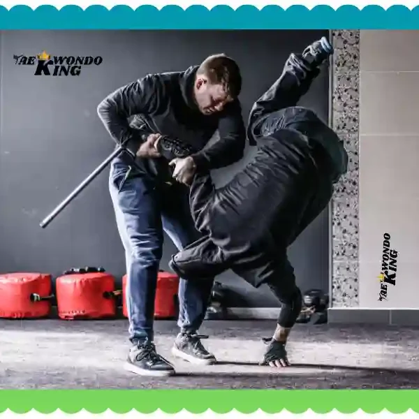 Top 20 Most Effective Martial Art in a Real Fight, taekwondoking