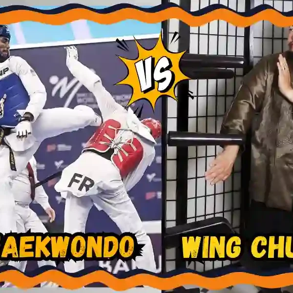 TKD vs Wing Chun? Which is Better? taekwondoking.com