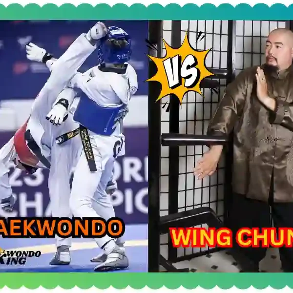 Tiquando vs Wing Chun: A Comprehensive Comparison, TAEKWONDOKING