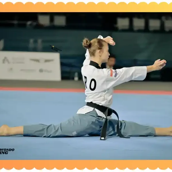 Understand Taekwondo Terminology for Beginners, taekwondoking.com