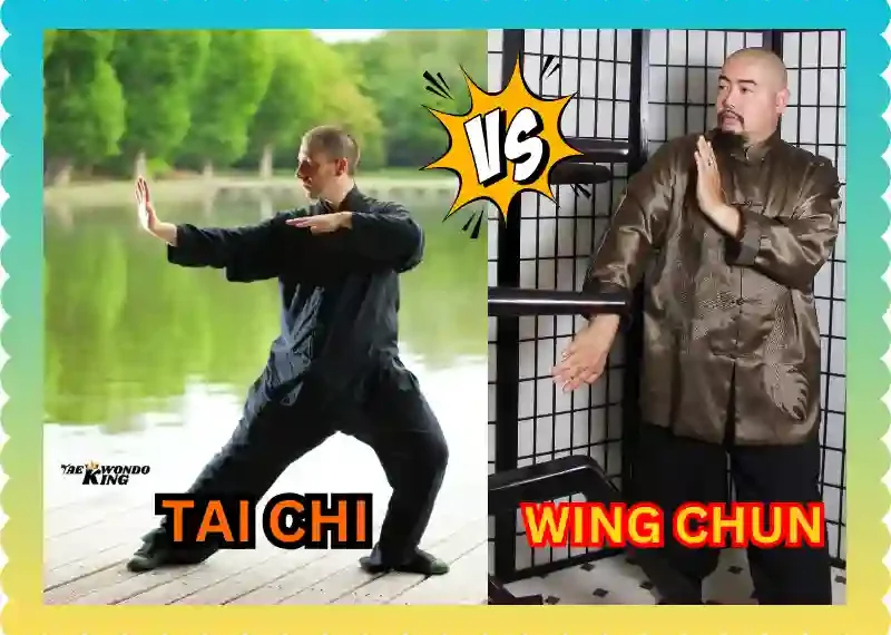 Tai Chi vs Wing Chun? Which is Better? taekwondoking.com