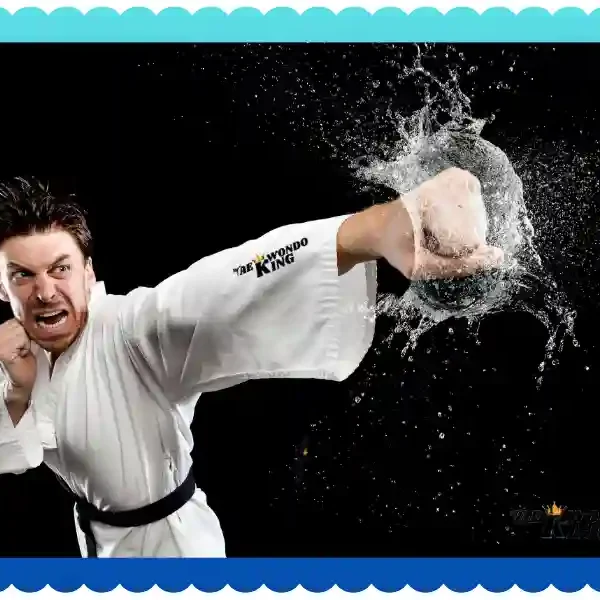 Are punches permitted in TKD? taekwondoking