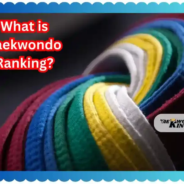 What is taekwondo ranking? Taekwondoking