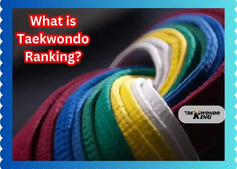 What is taekwondo ranking? Taekwondoking