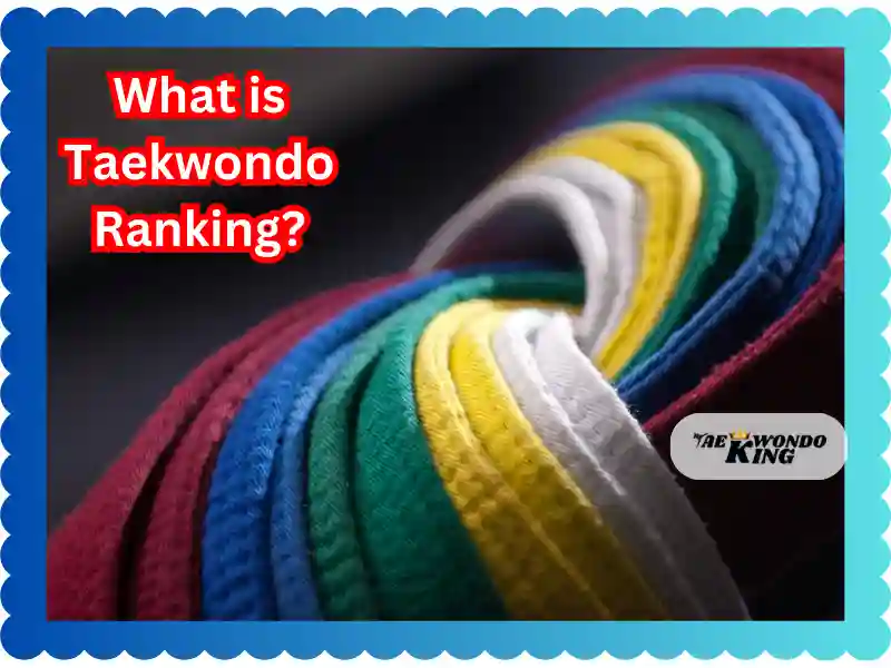 What is taekwondo ranking? Taekwondoking