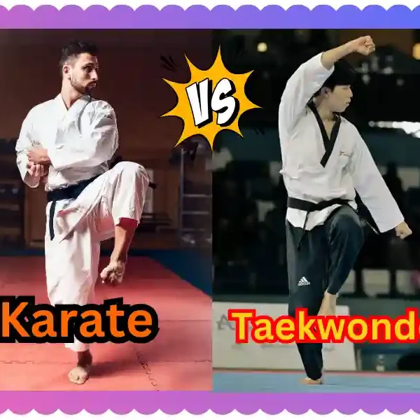 Which is Stronger, Karate or Taekwondo? taekwondoking