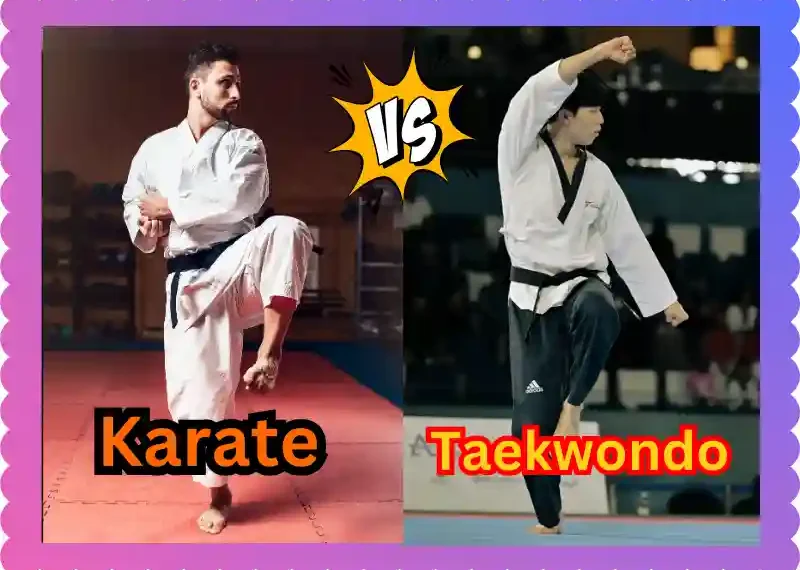 Which is Stronger, Karate or Taekwondo? taekwondoking