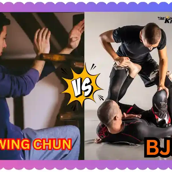 Wing Chun vs Brazilian Jiu-Jitsu, Which is Best? Taekwondoking