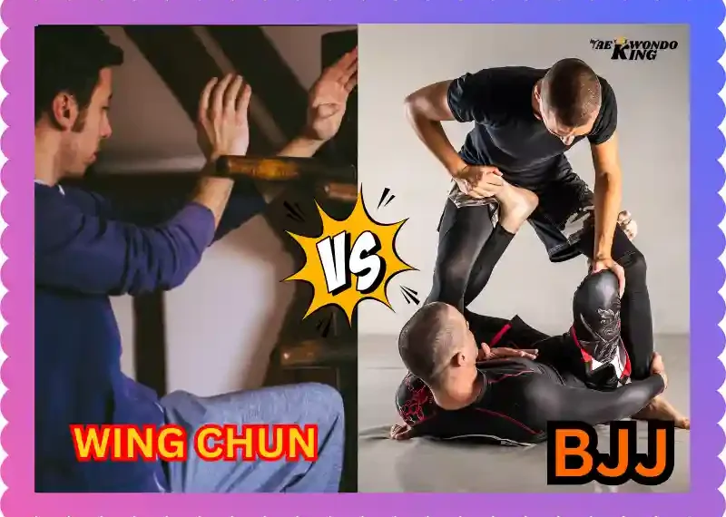 Wing Chun vs Brazilian Jiu-Jitsu, Which is Best? Taekwondoking