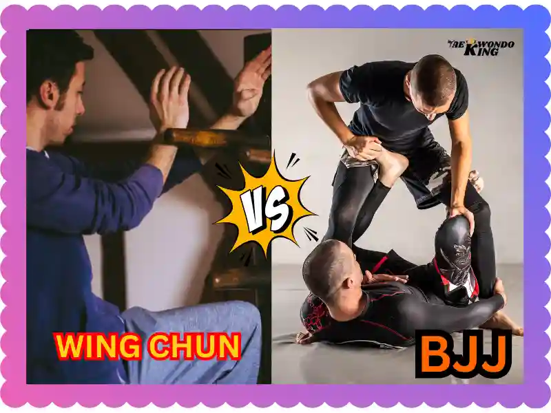 Wing Chun vs Brazilian Jiu-Jitsu, Which is Best? Taekwondoking