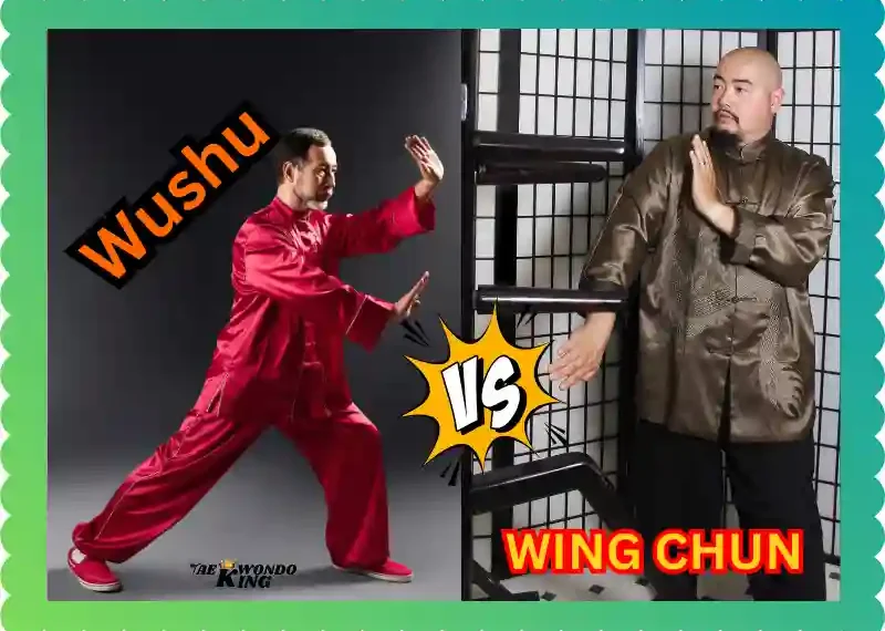 Wing Chun vs. Wushu: The Distinctions Between These Unique Martial Arts, taekwondoking