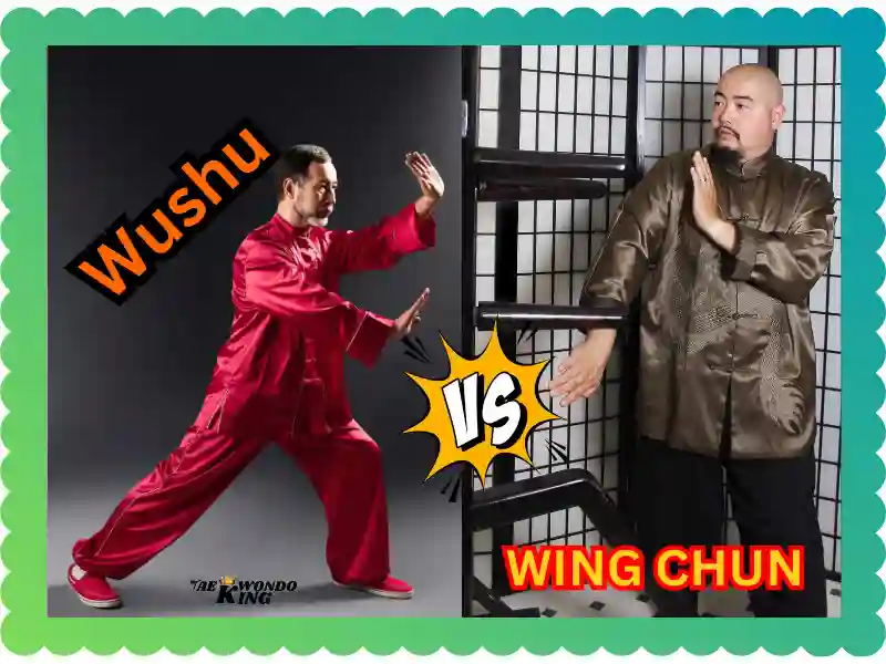 Wing Chun vs. Wushu: The Distinctions Between These Unique Martial Arts, taekwondoking