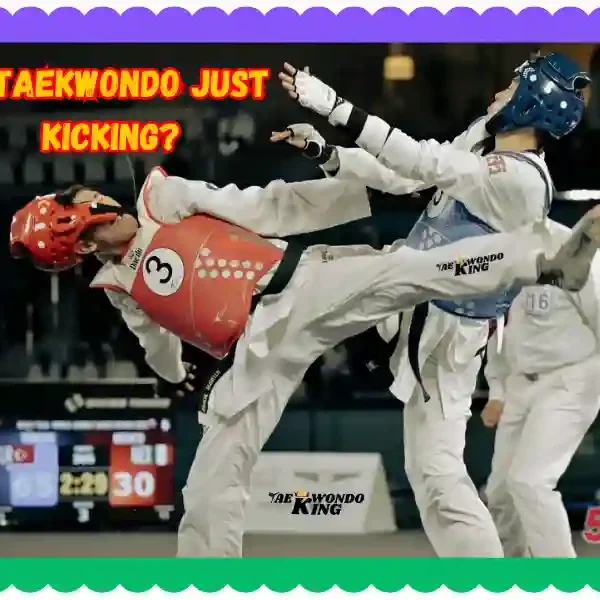 Is Taekwondo Just Kicking? taekwondoking