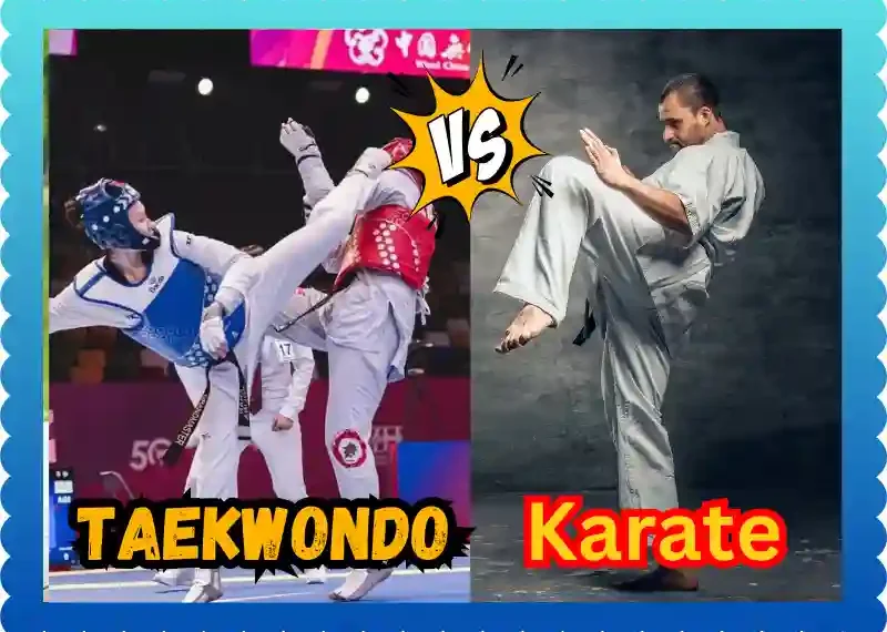 Is Taekwondo Karate? taekwondoking