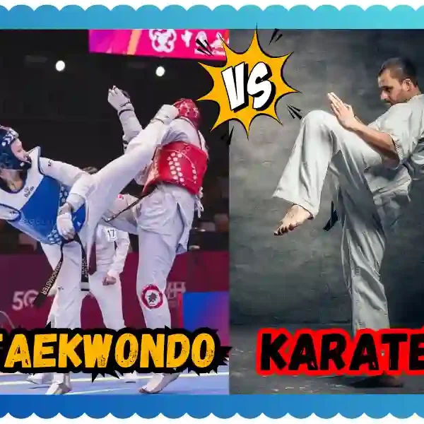 Karate Versus Taekwondo: Understanding the Differences, taekwondoking