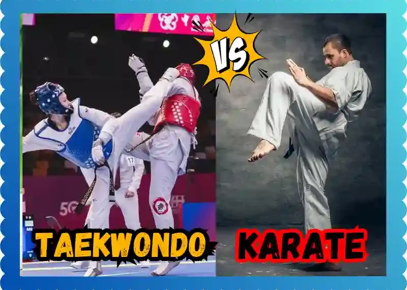 Karate Versus Taekwondo: Understanding the Differences, taekwondoking