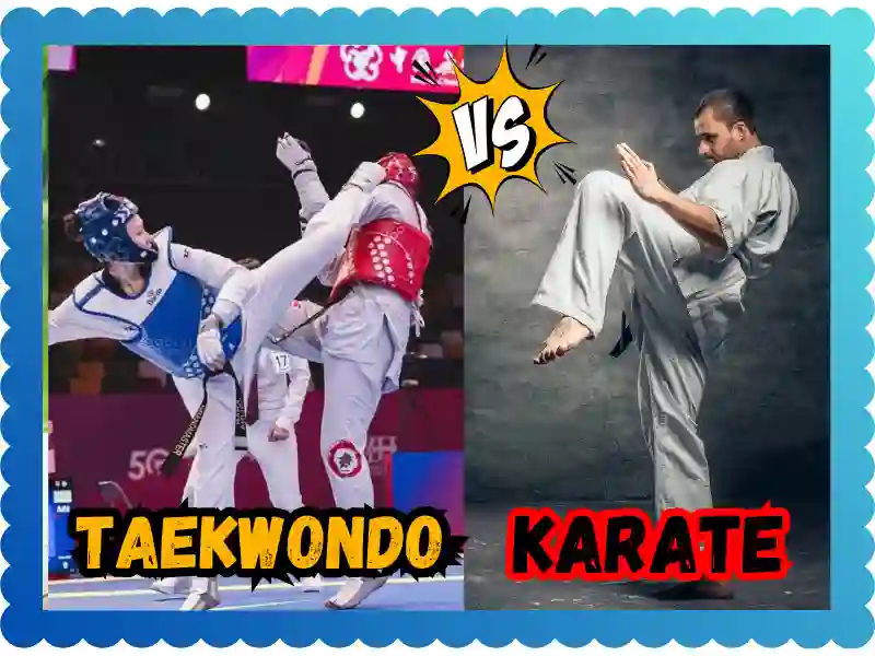 Karate Versus Taekwondo: Understanding the Differences, taekwondoking