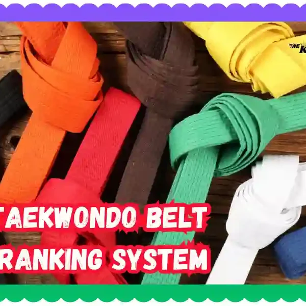 The Taekwondo Belt Ranking System: A Comprehensive Guide, taekwondoking