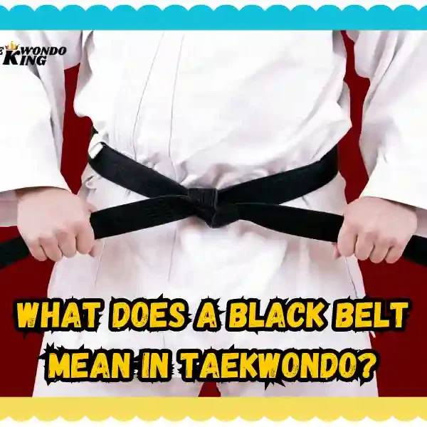 What Does a Black Belt Mean in Taekwondo? taekwondoking