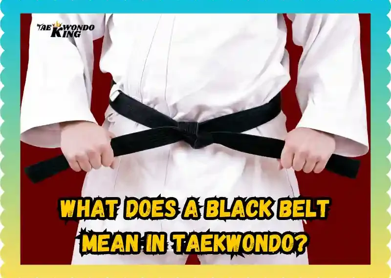 What Does a Black Belt Mean in Taekwondo? taekwondoking