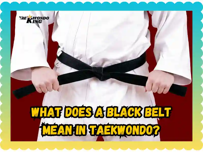 What Does a Black Belt Mean in Taekwondo? taekwondoking