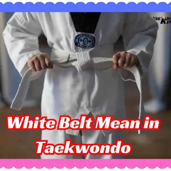 What Does a White Belt Mean in Taekwondo? taekwondoking