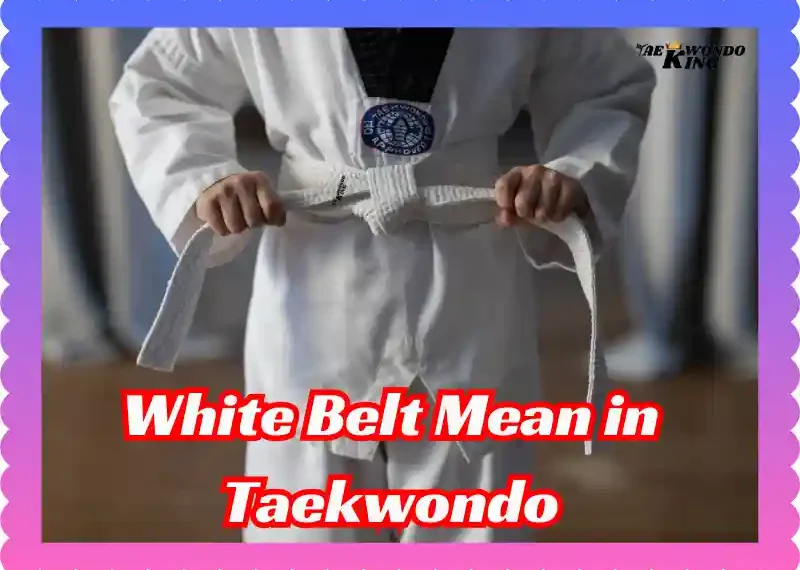 What Does a White Belt Mean in Taekwondo? taekwondoking