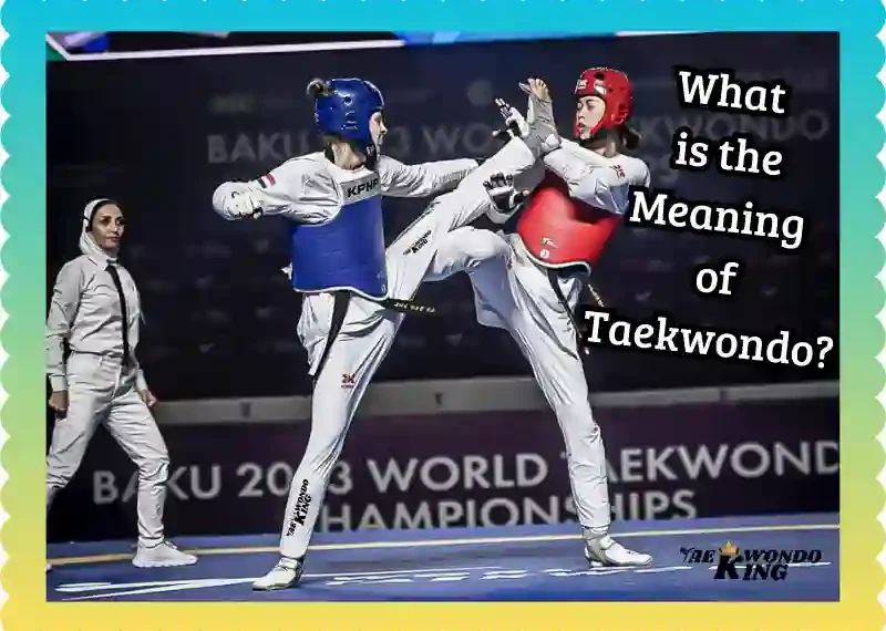 What is the Meaning of Taekwondo? taekwondoking