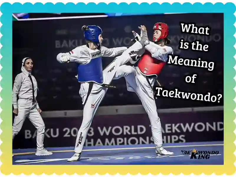 What is the Meaning of Taekwondo? taekwondoking 