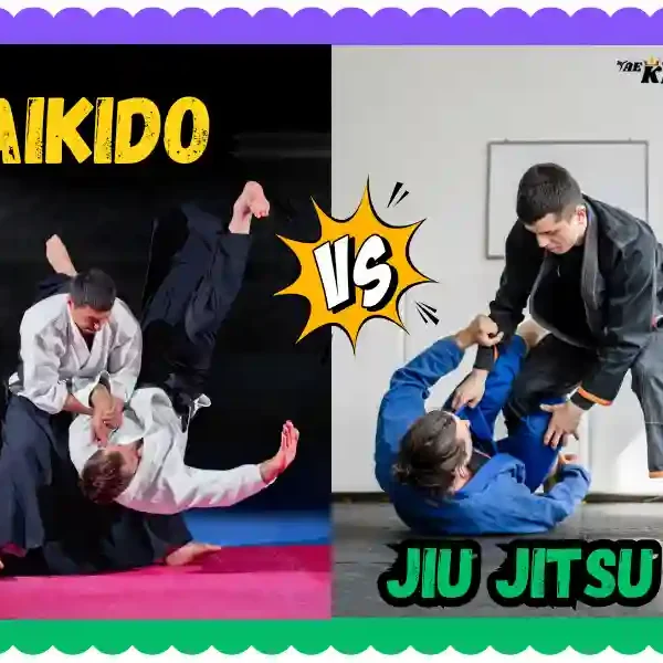 Aikido vs Jiu Jitsu: A Simple Comparison of Two Unique Martial Arts, taekwondoking