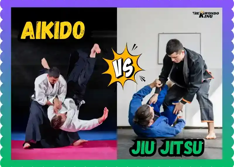 Aikido vs Jiu Jitsu: A Simple Comparison of Two Unique Martial Arts, taekwondoking