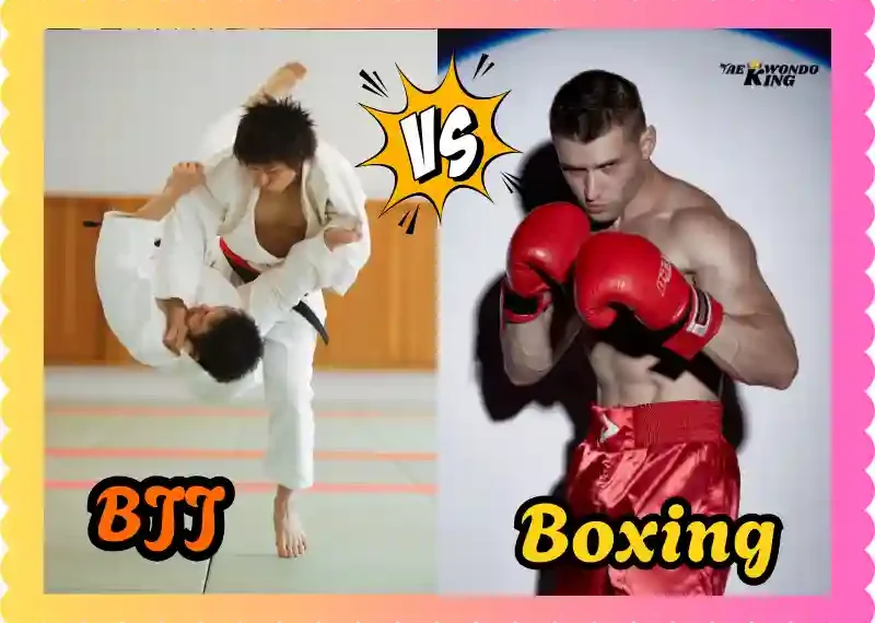 BJJ vs Boxing: A Comprehensive Comparison, taekwondoking