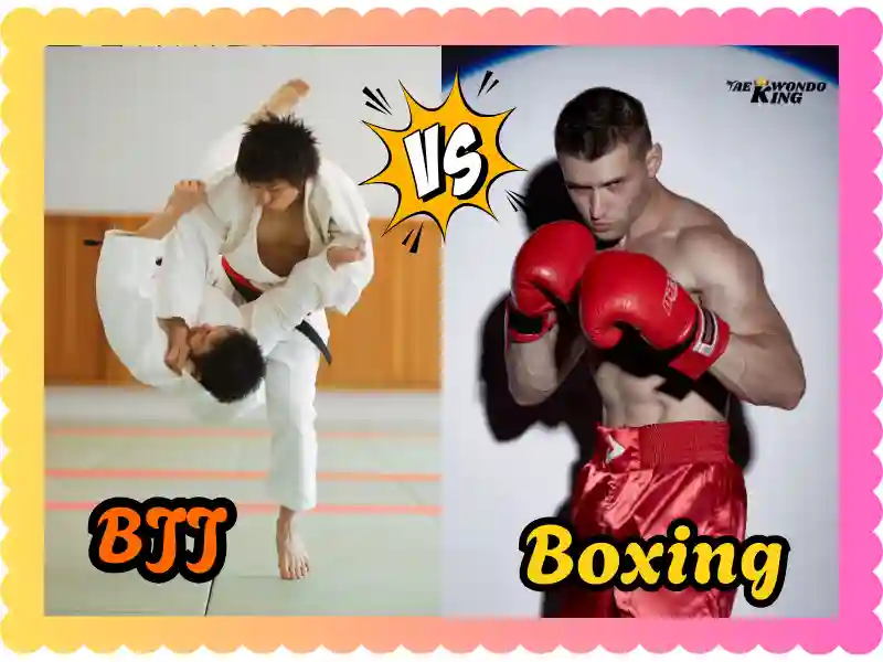 BJJ vs Boxing: A Comprehensive Comparison, taekwondoking