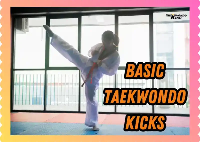 Basic Taekwondo Kicks: A Comprehensive Guide, taekwondoking