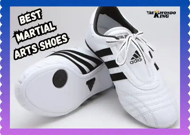 Best Martial Arts Shoes Martial Arts Training: A Guide to Choosing the Right Pair, taekwondoking