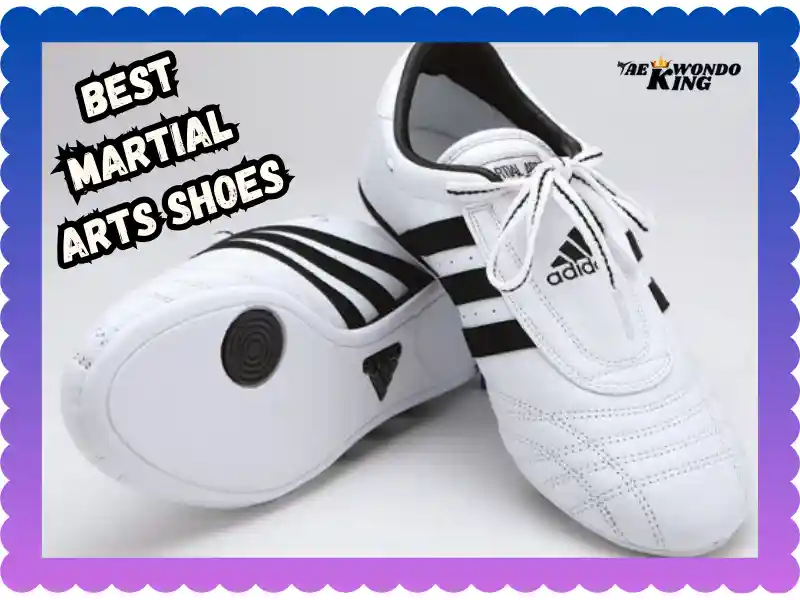 Best Martial Arts Shoes Martial Arts Training: A Guide to Choosing the Right Pair, taekwondoking