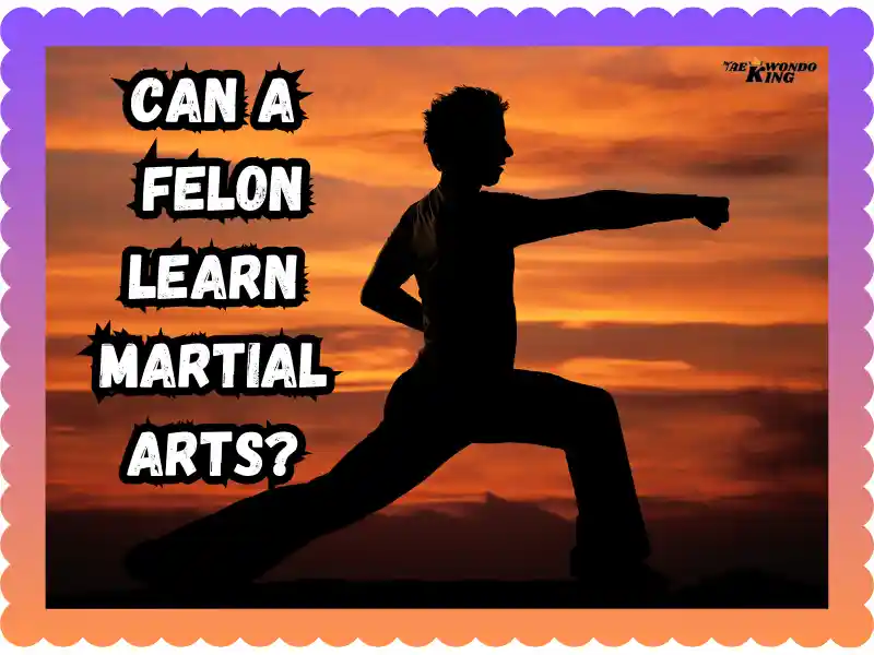 Can a Felon Learn Martial Arts? taekwondoking