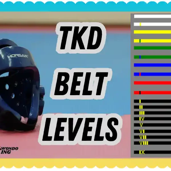 Complete Guide to TKD Belt Levels: A Journey of Growth and Mastery, taekwondoking