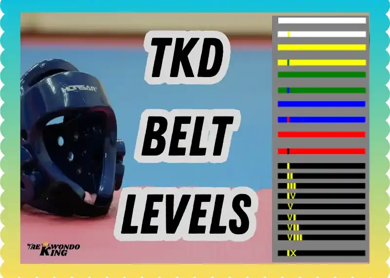 Complete Guide to TKD Belt Levels: A Journey of Growth and Mastery, taekwondoking