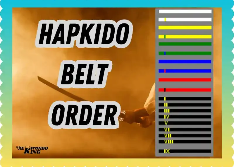 Hapkido Belt Order: A Complete Guide