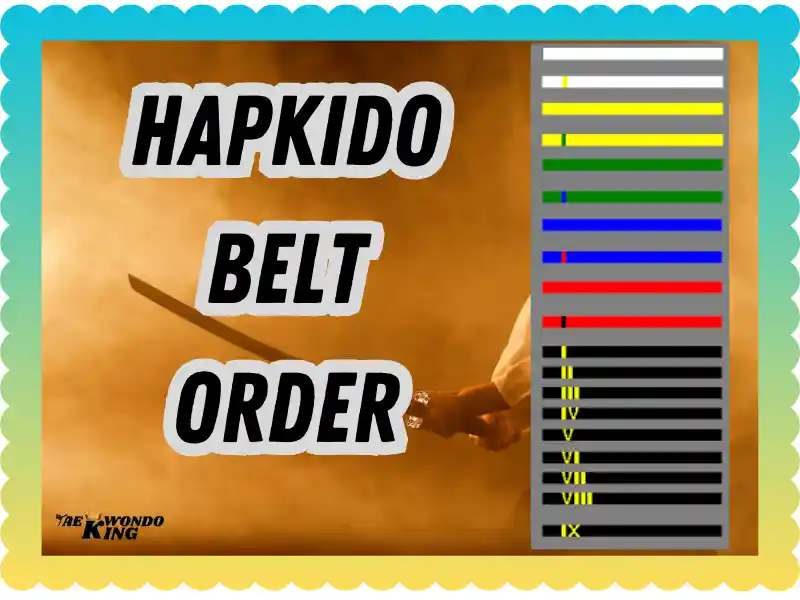 Hapkido Belt Order: A Complete Guide