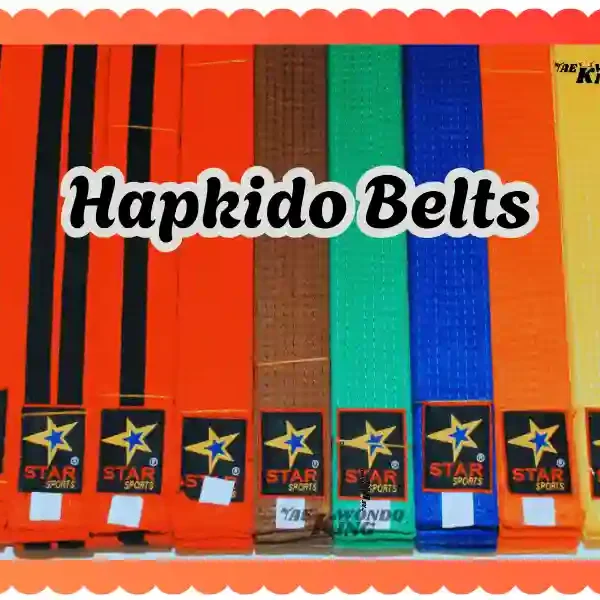 Hapkido Belts: A Complete Guide to Belt Levels in Hapkido, taekwondoking