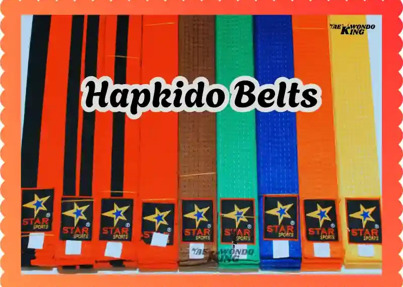 Hapkido Belts: A Complete Guide to Belt Levels in Hapkido, taekwondoking