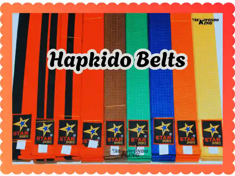 Hapkido Belts: A Complete Guide to Belt Levels in Hapkido, taekwondoking