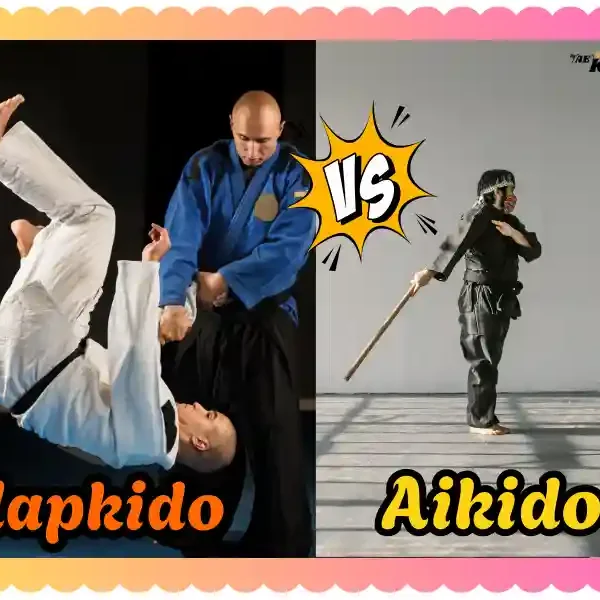 Hapkido vs Aikido: Which Martial Art is Better? Taekwondoking