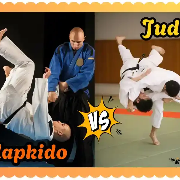 Hapkido vs Judo: Which Martial Art is Better? taekwondoking