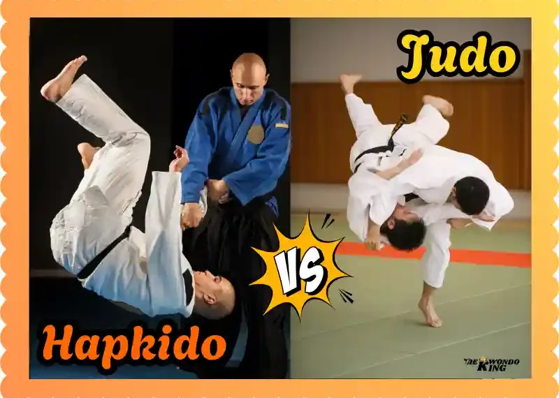 Hapkido vs Judo: Which Martial Art is Better? taekwondoking