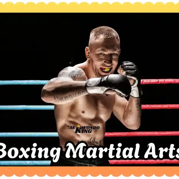 Is Boxing Martial Arts? A Complete Guide, taekwondoking